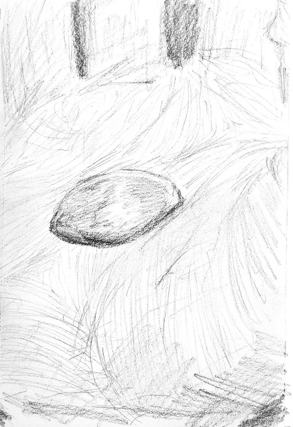 Illustration from Chapter 2